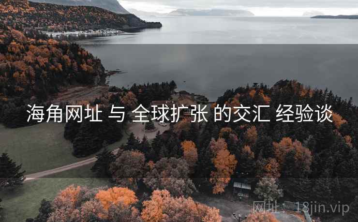 海角网址 与 全球扩张 的交汇 经验谈  第2张