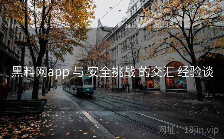黑料网app 与 安全挑战 的交汇 经验谈 第1张 黑料网app 与 安全挑战 的交汇 经验谈 第1张
