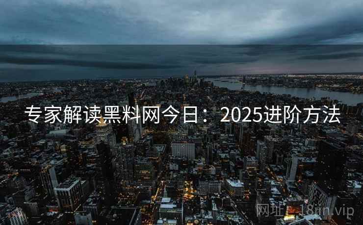 专家解读黑料网今日:2025进阶方法 第2张 专家解读黑料网今日:2025进阶方法 第2张