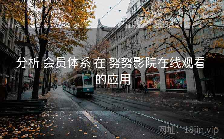 分析 会员体系 在 努努影院在线观看 的应用  第1张