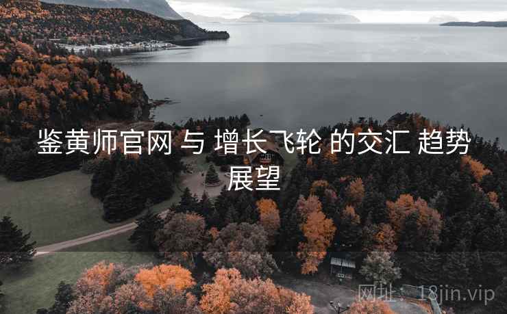 鉴黄师官网 与 增长飞轮 的交汇 趋势展望 第1张 鉴黄师官网 与 增长飞轮 的交汇 趋势展望 第1张