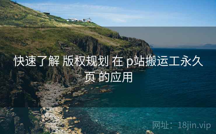 快速了解 版权规划 在 p站搬运工永久页 的应用 第2张 快速了解 版权规划 在 p站搬运工永久页 的应用 第2张