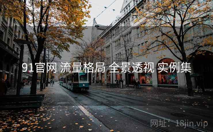 91官网 流量格局 全景透视 实例集  第1张
