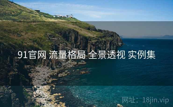 91官网 流量格局 全景透视 实例集  第2张